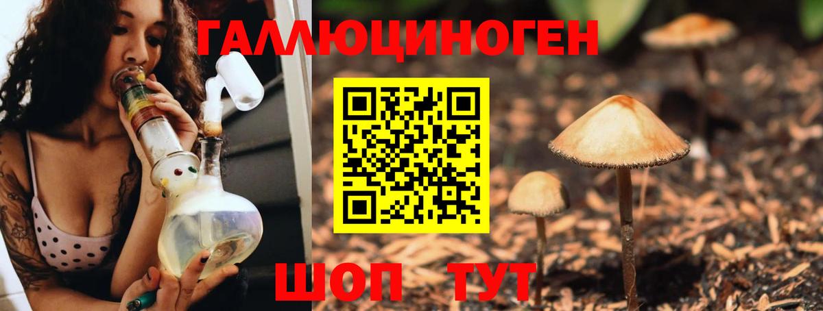 Галлюциногенные грибы мицелий Глазов