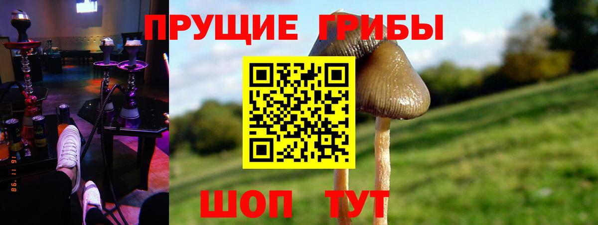 Галлюциногенные грибы GOLDEN TEACHER  Вход с VPN  Глазов  Галлюциногенные грибы Magic Shrooms 